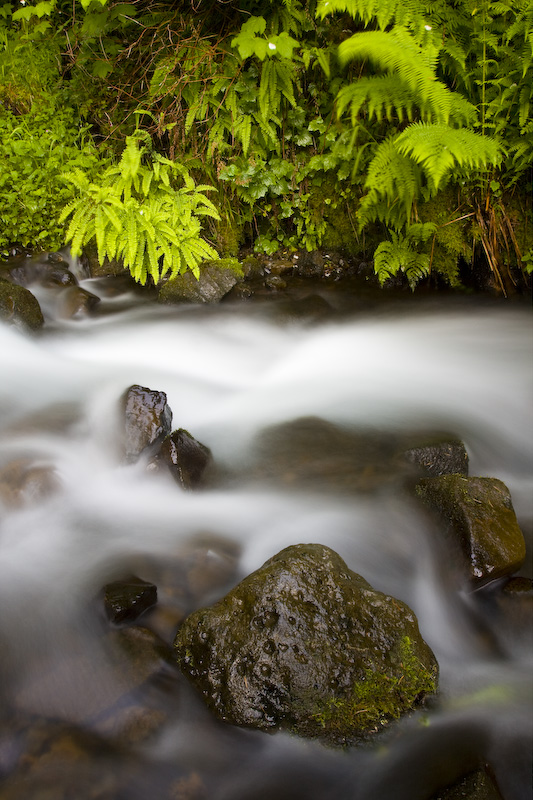 Wahkeena Creek